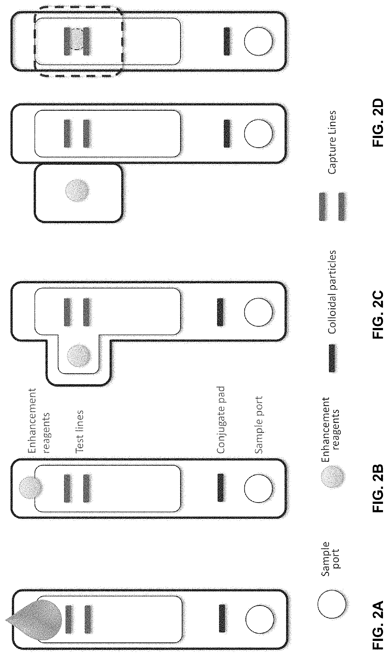 Catalytic signal enhancement for lateral flow immunoassays