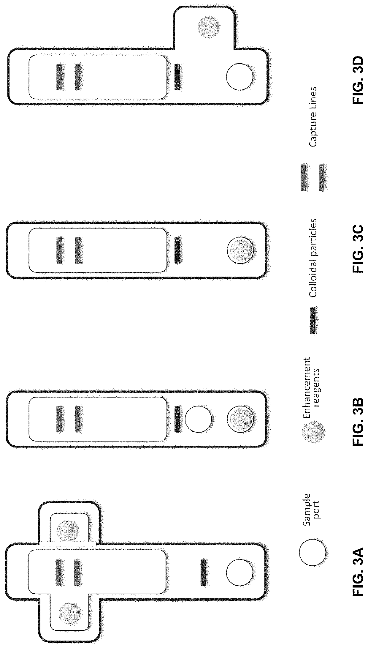 Catalytic signal enhancement for lateral flow immunoassays