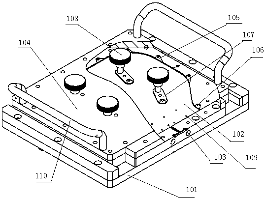 Nut conveying and picking device