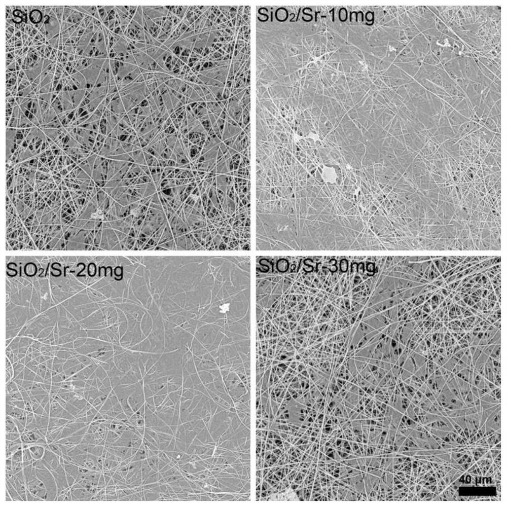 Strontium-doped silicon dioxide nanofiber membrane and preparation method thereof