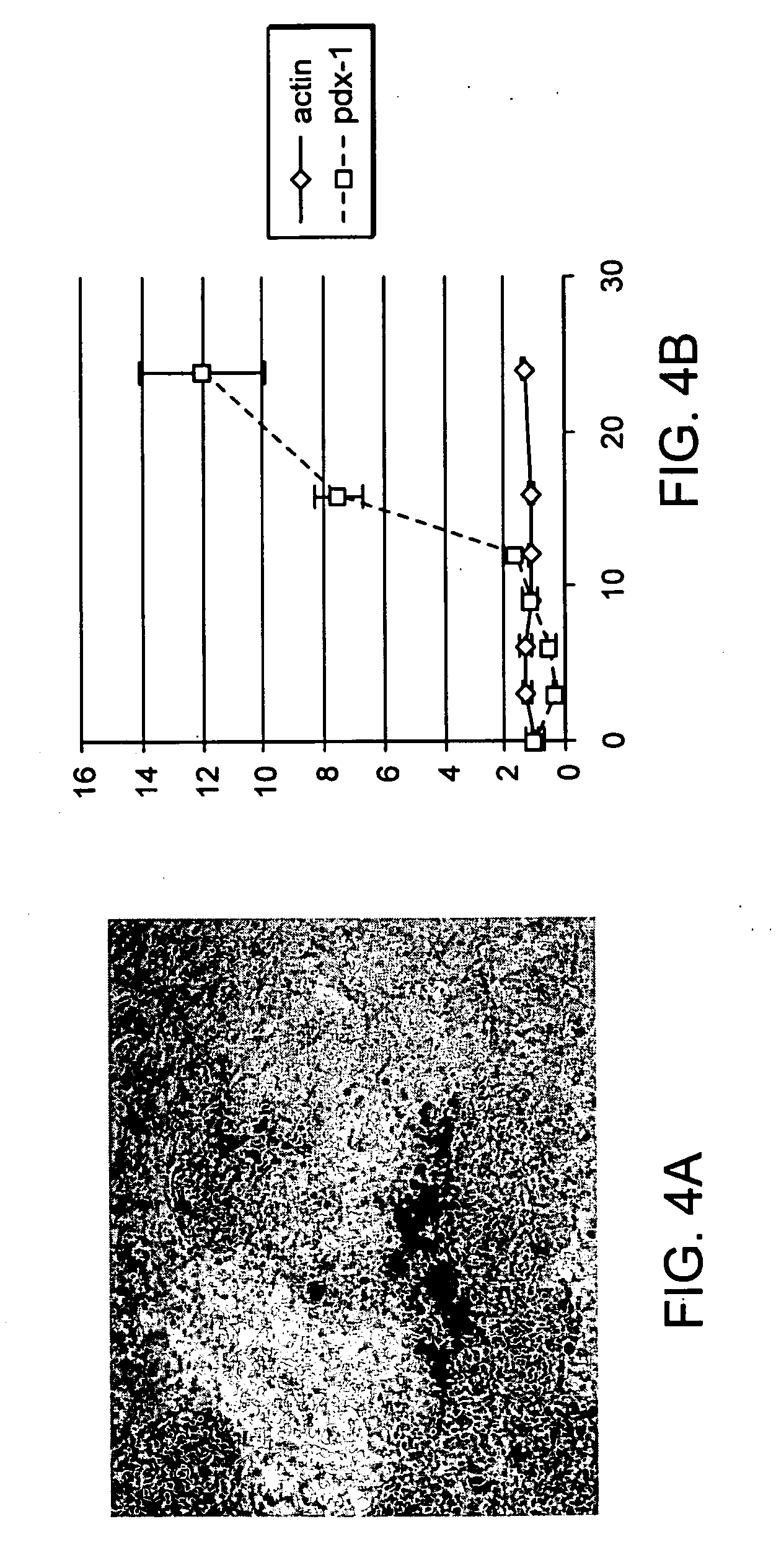 Directed differentiation of embryonic stem cells and uses thereof