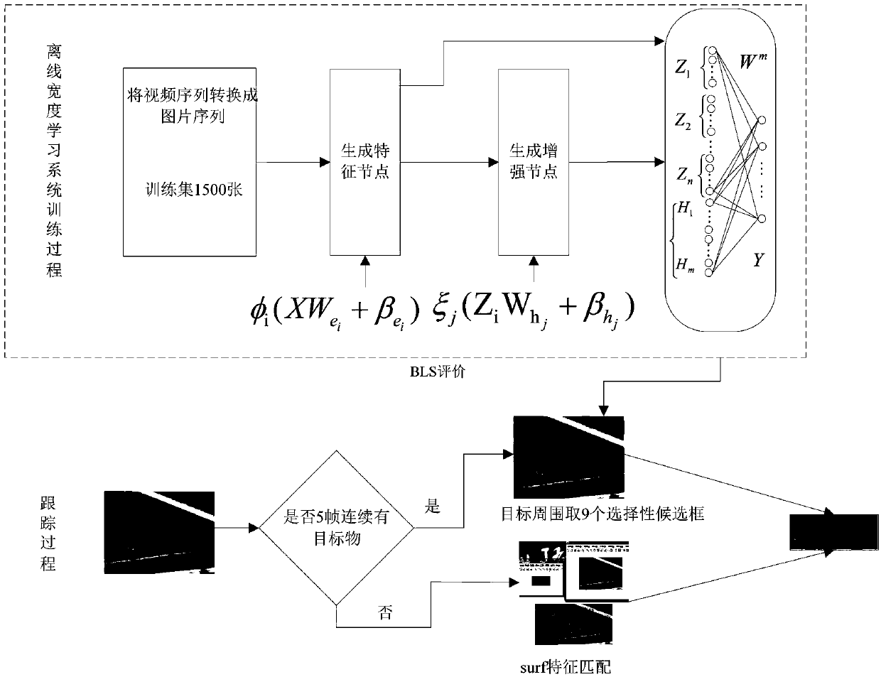 Width learning-based long-term target tracking algorithm