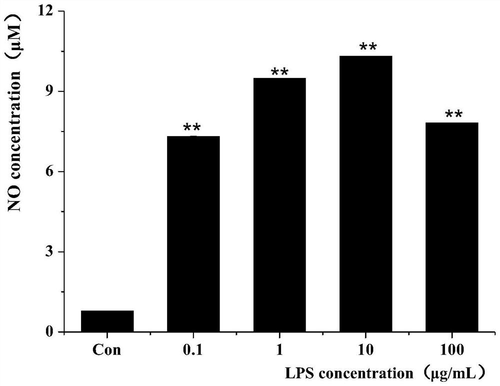 A screening method for immunoactive peptides