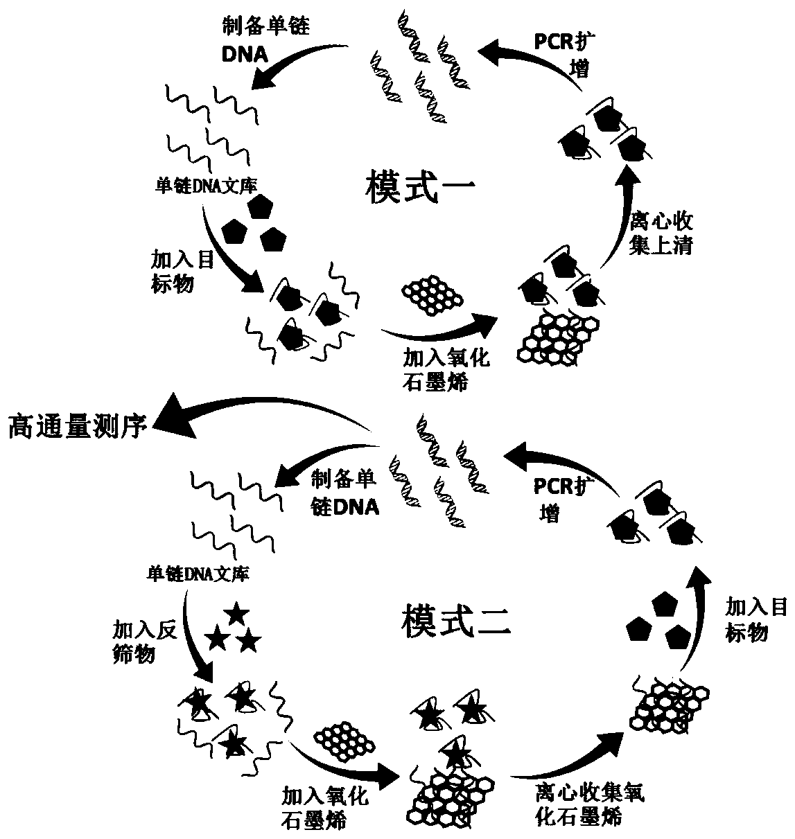 Human pancreatic polypeptide nucleic acid aptamer and its screening method and application