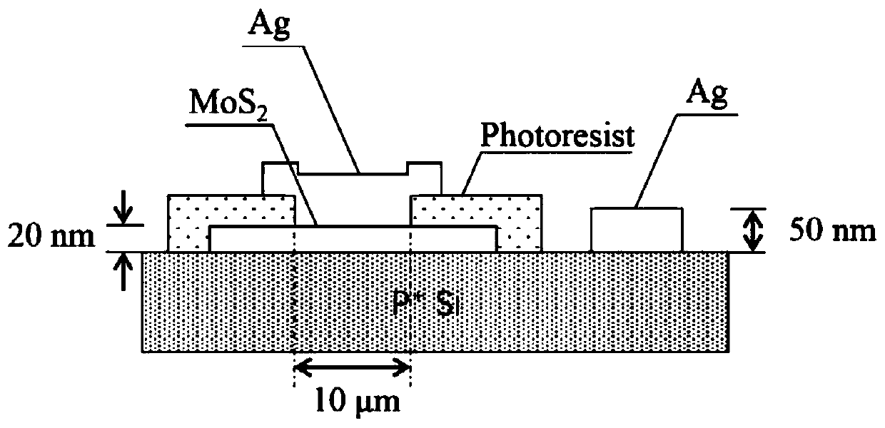 Silicon-based molybdenum disulfide heterojunction photoelectric sensor and preparation method