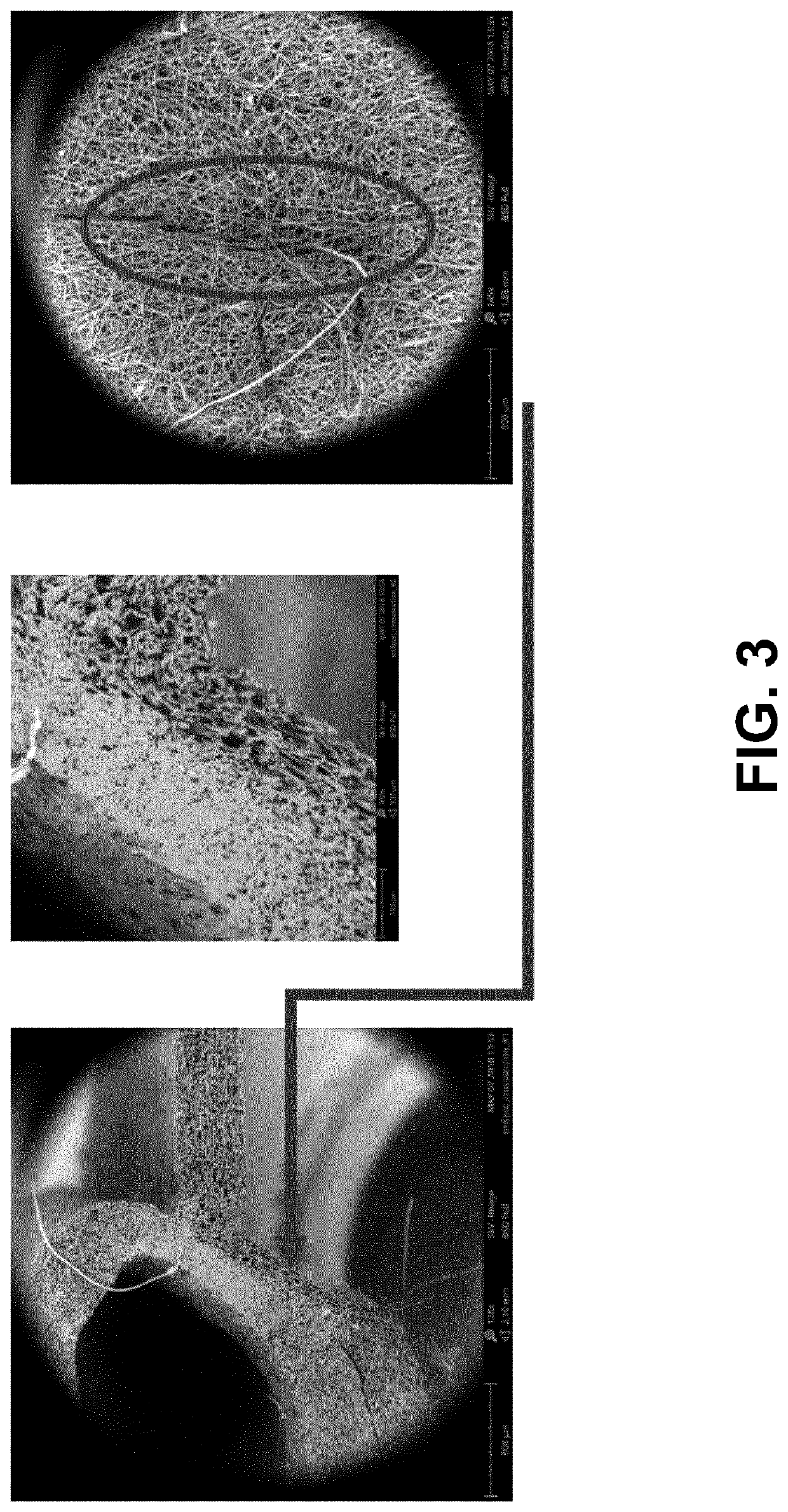 Electrospun polymer assemblies for medical implant applications