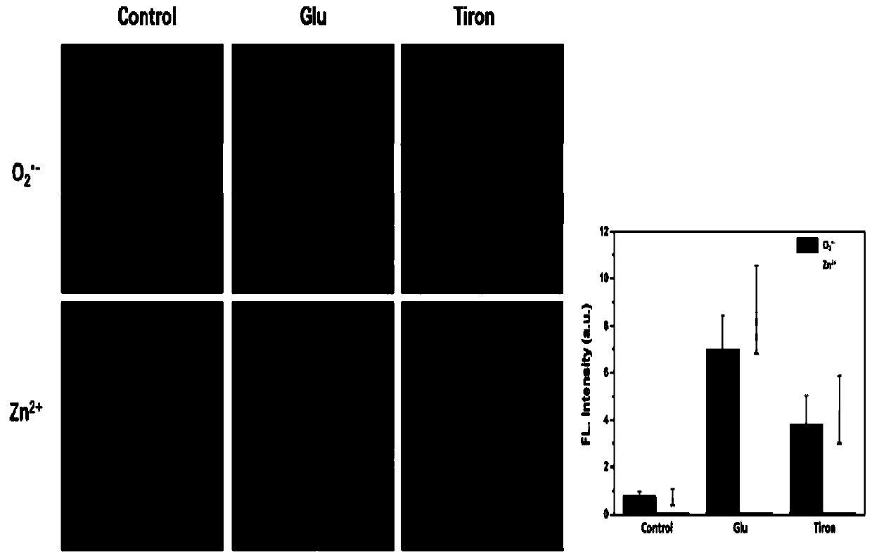 Double-color fluorescent probe as well as synthesis method and application thereof