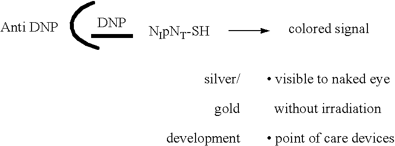 Molecular detection systems utilizing reiterative oligonucleotide synthesis