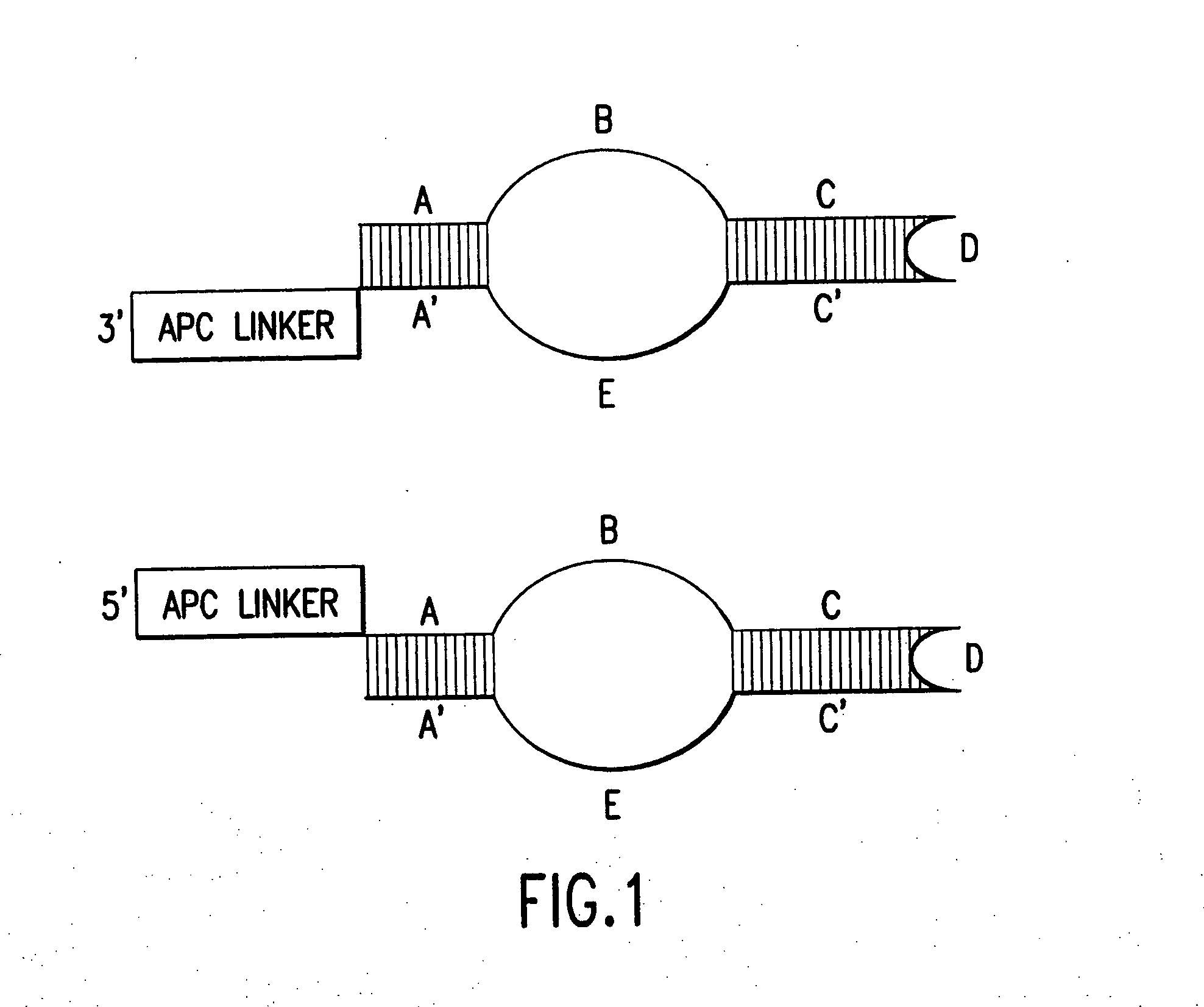 Molecular detection systems utilizing reiterative oligonucleotide synthesis