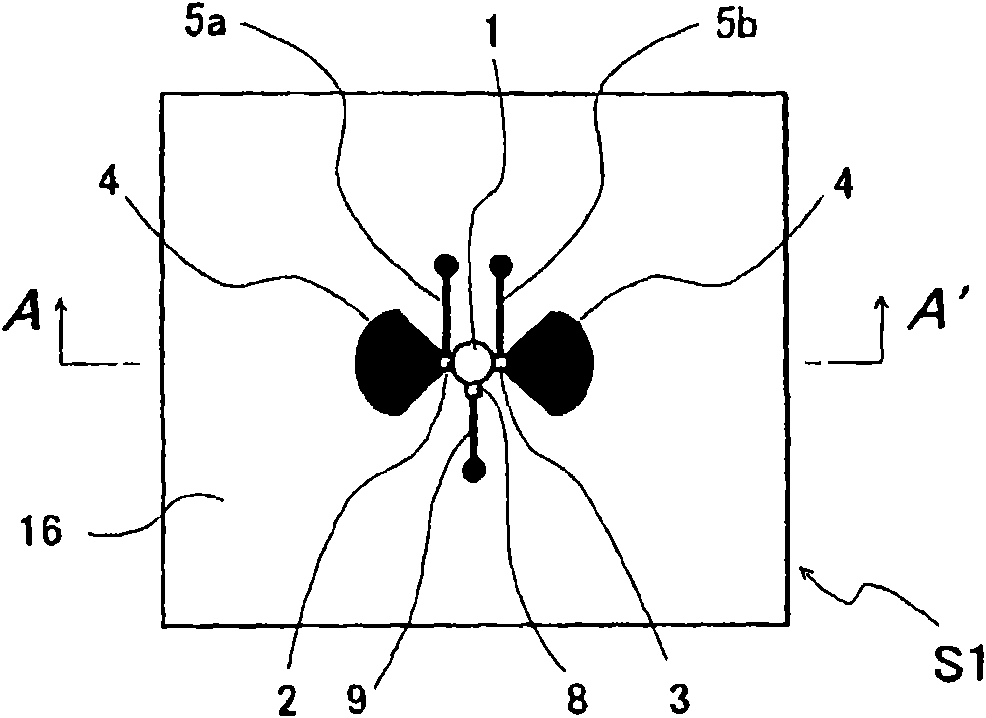 Microwave/millimeter wave sensor apparatus