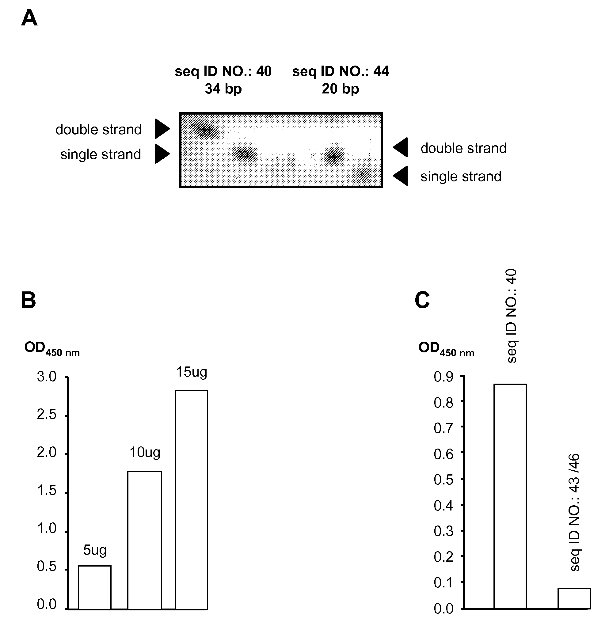 Gene expression and pain