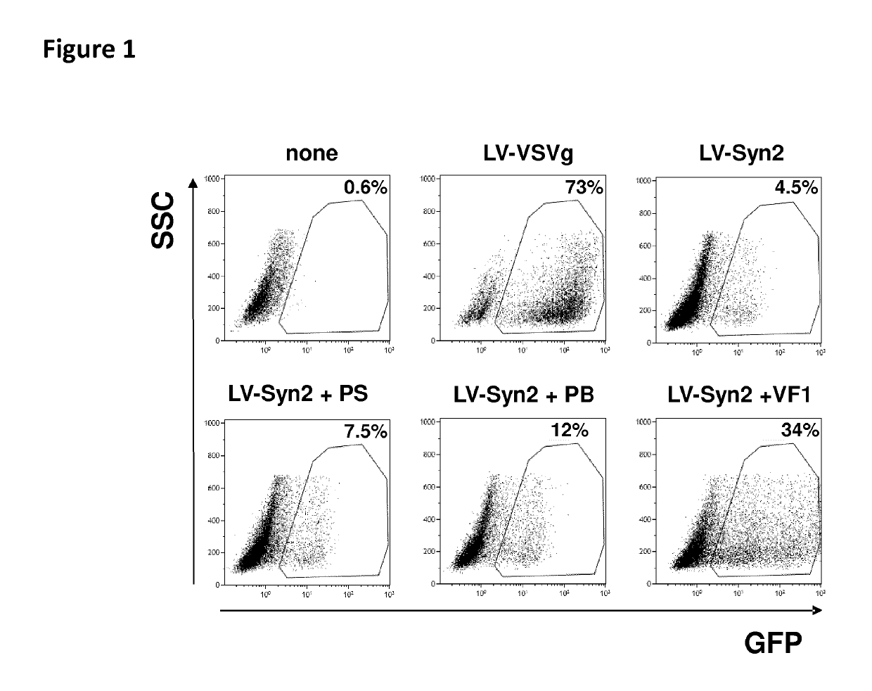 Stable pseudotyped lentiviral particles and uses thereof