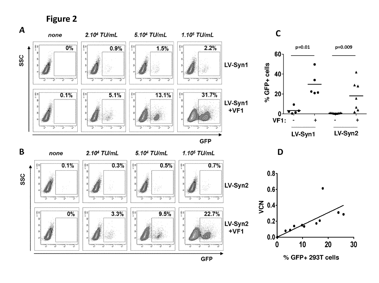 Stable pseudotyped lentiviral particles and uses thereof