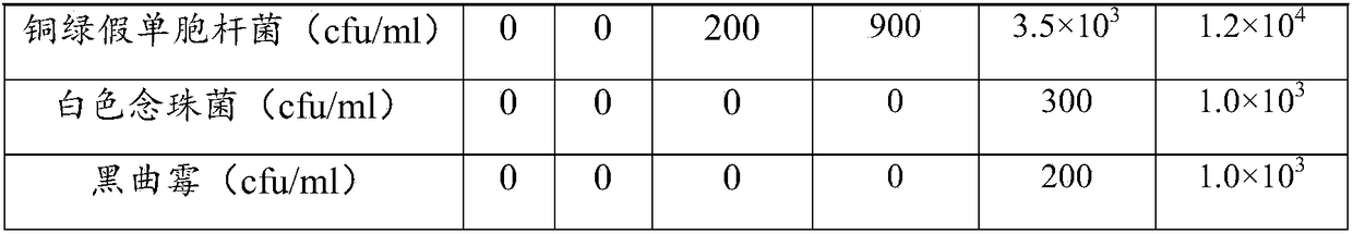 Preservative containing cortex cinnamomi as well as preparation method and application thereof