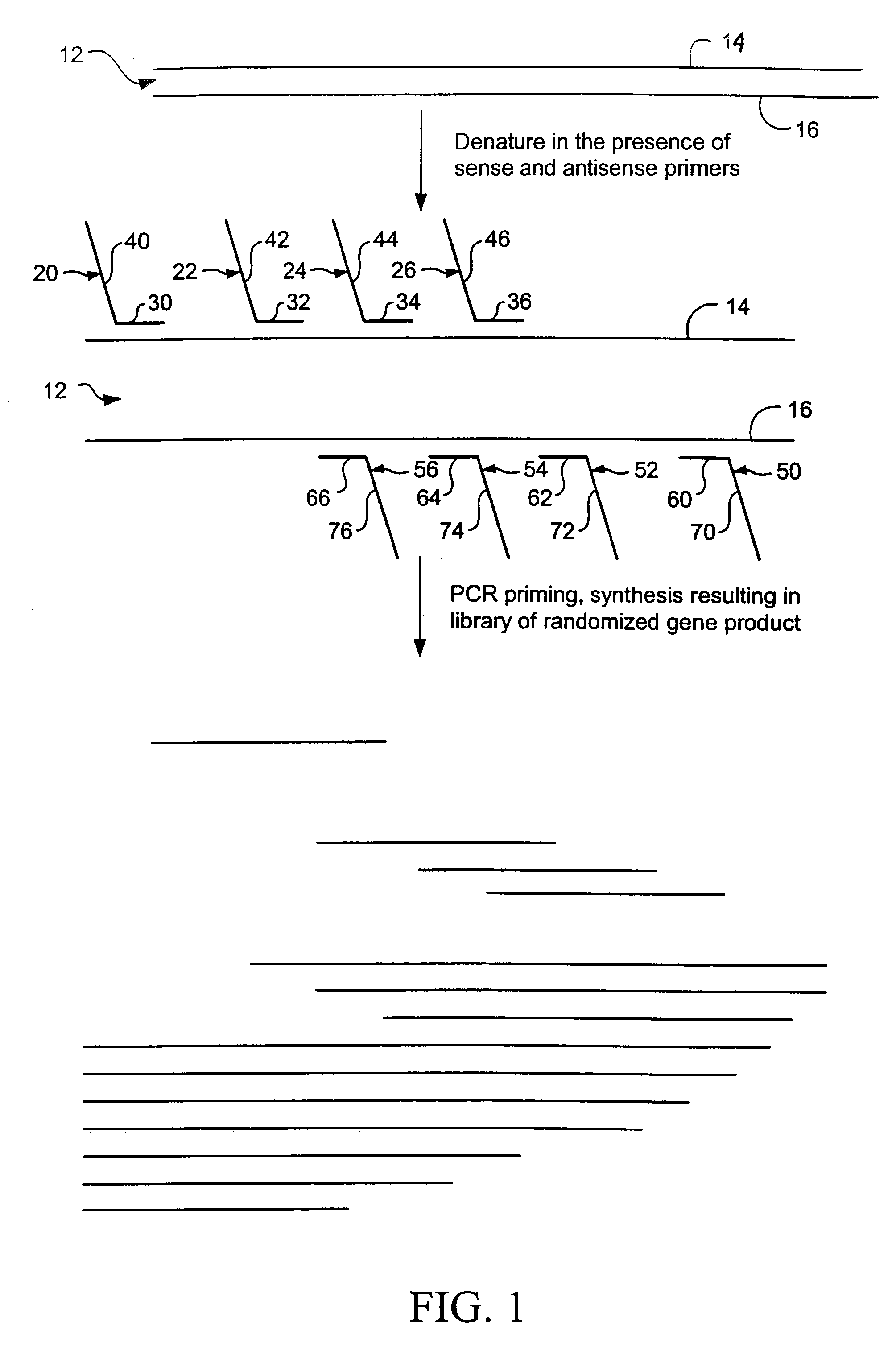 Random truncation and amplification of nucleic acid