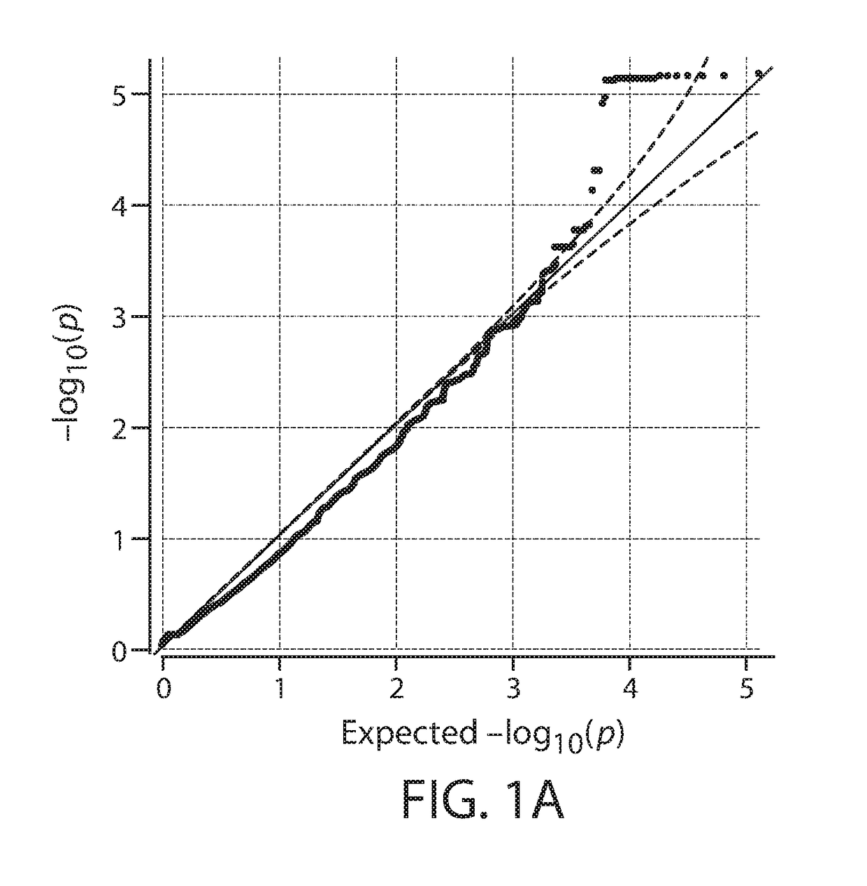 Compositions and methods of treating muscular dystrophy