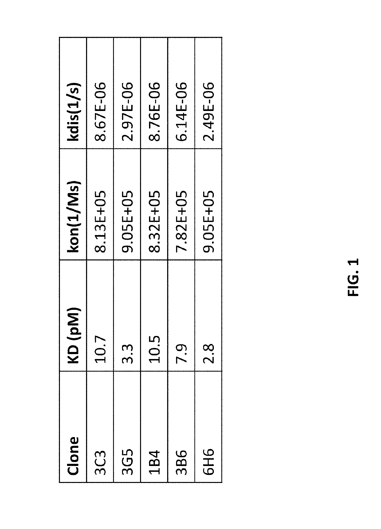 Agonistic antibodies that bind human cd40 and uses thereof