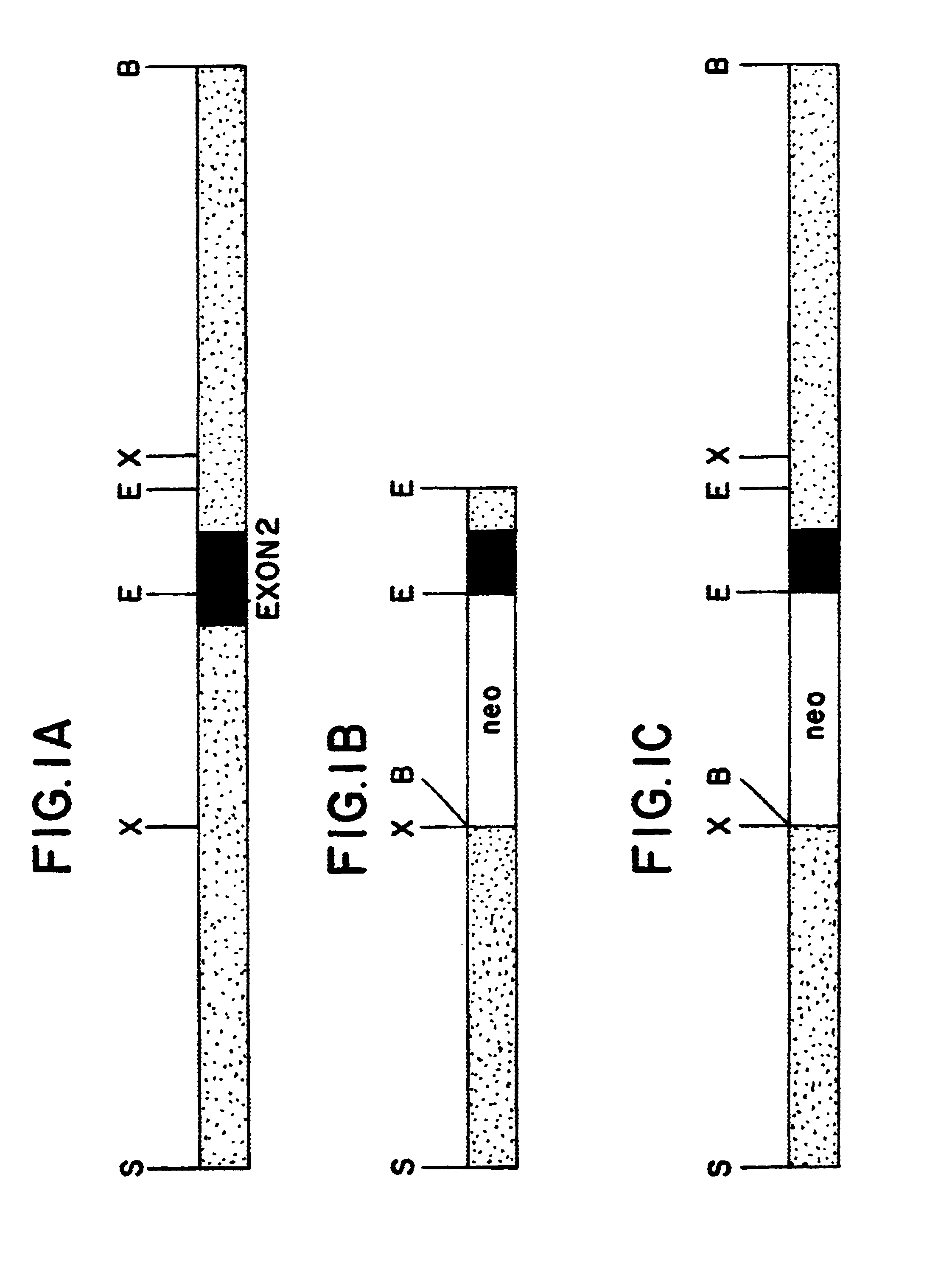 CD45 disrupted nucleic acid