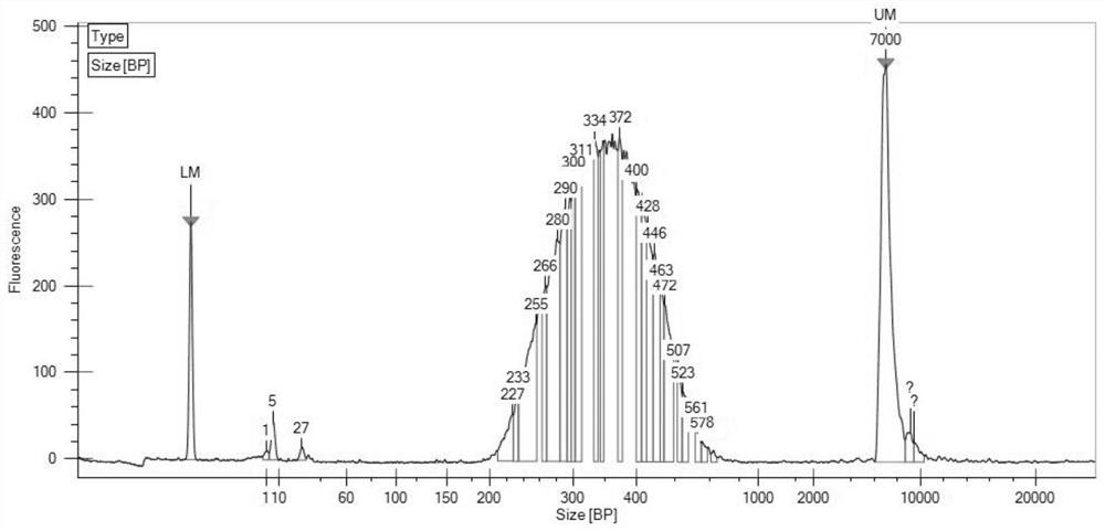 Group of probes and library building kit for detecting polymorphism of pharmacogenomics related gene CYP3A4 by using hybrid capture method