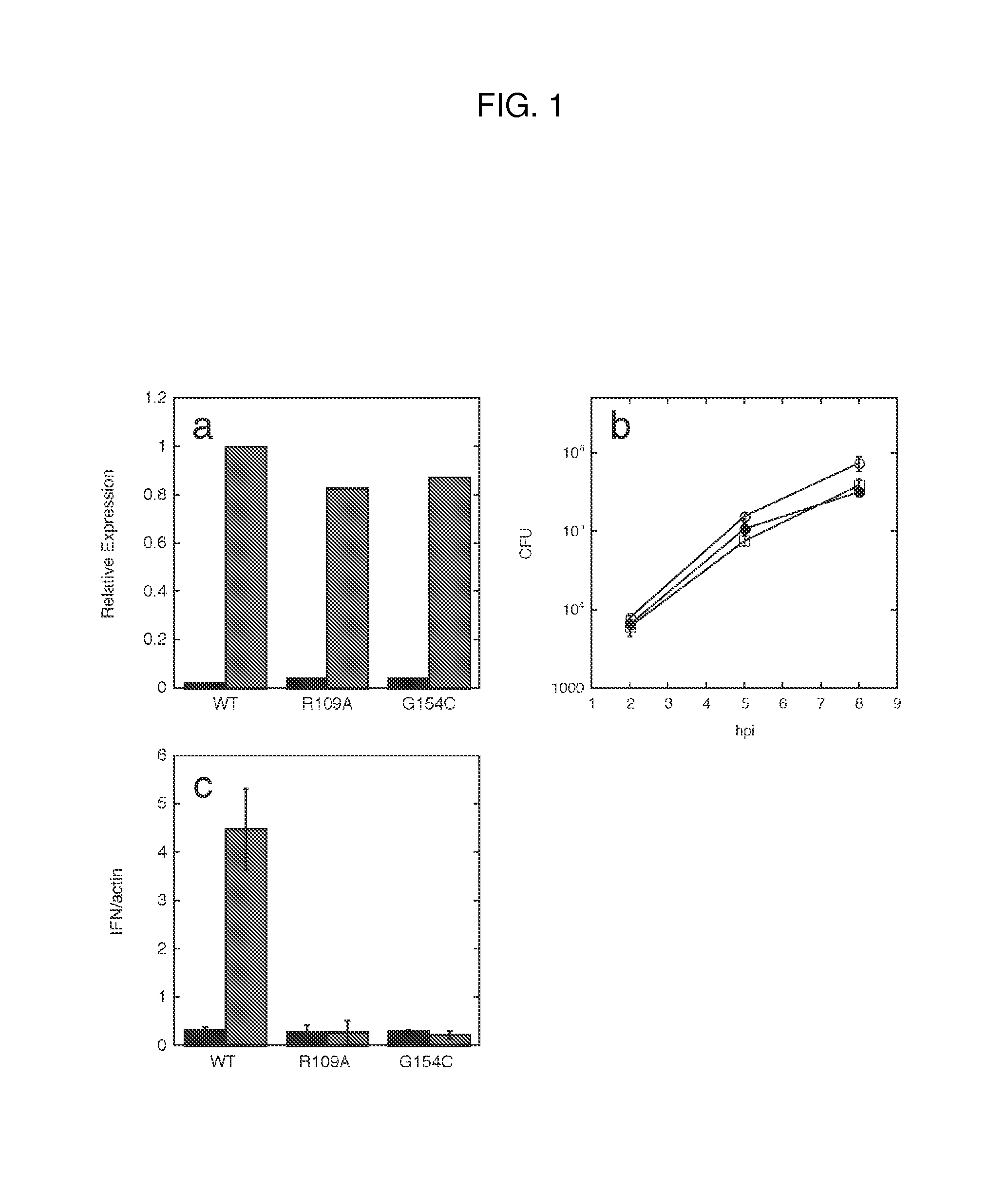 Cyclic di-AMP induction of type I interferon