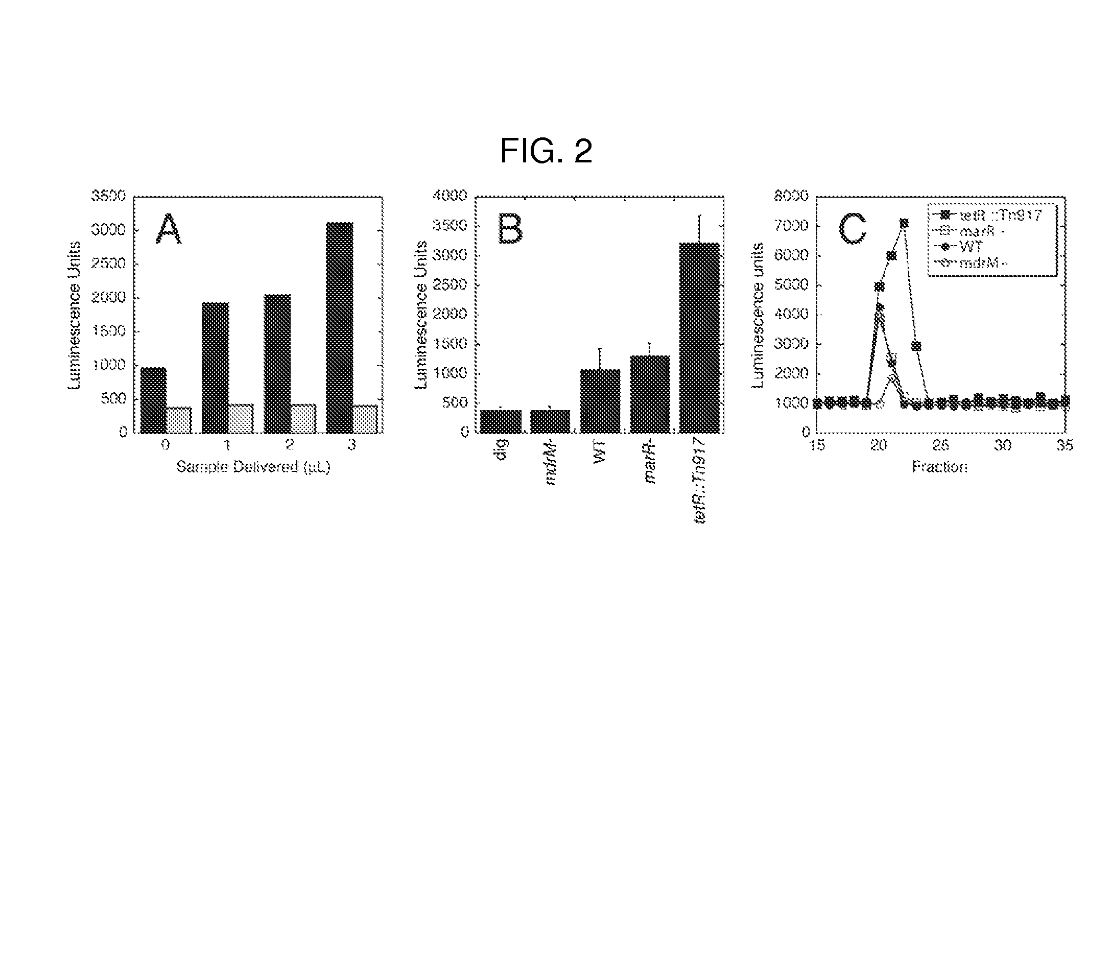 Cyclic di-AMP induction of type I interferon