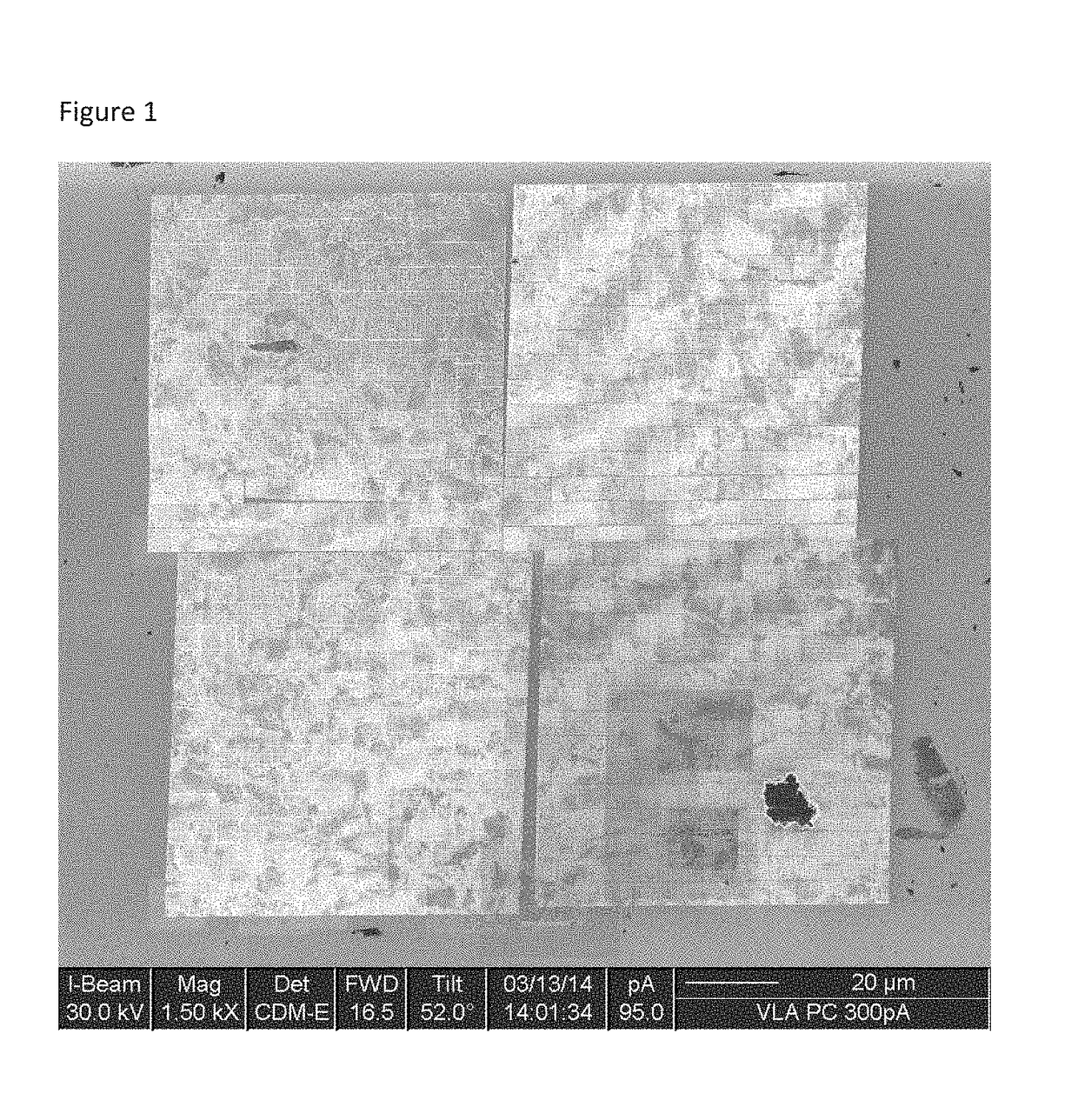 Directionally oriented piezoelectric materials and methods of fabrication