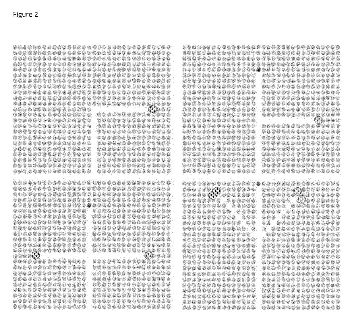 Directionally oriented piezoelectric materials and methods of fabrication