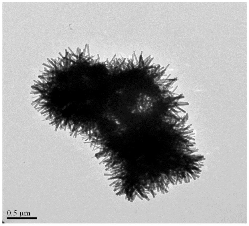 Vanadium pentoxide positive electrode material as well as preparation method and application thereof