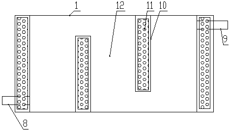 Novel optical channel photosynthetic biological hydrogen production device