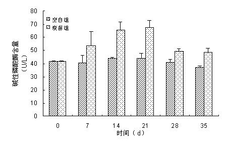 Preparation method of microcapsule vaccines capable of resisting infection of aeromonas hydrophila