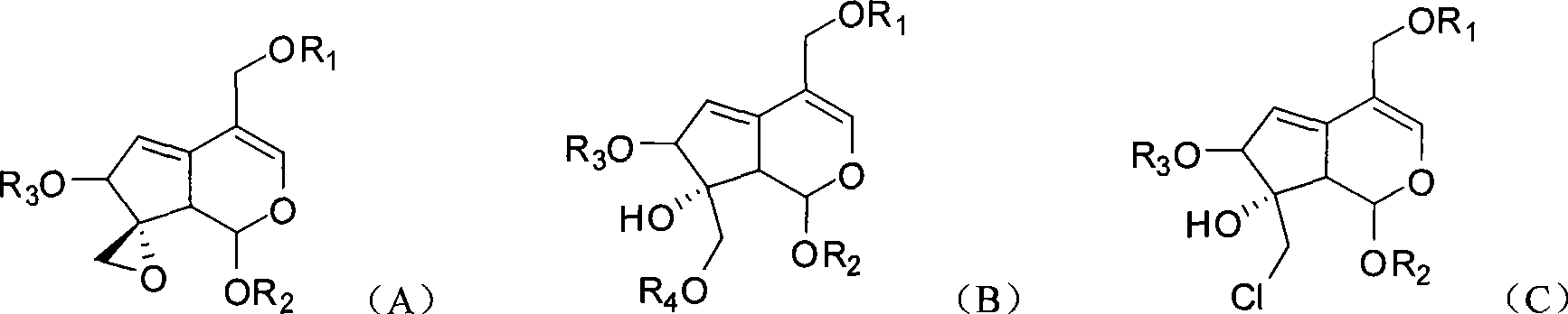 Application of mother-nucleus conjugated iridoid in preparing anti-tumor medicine