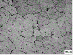 Treatment process for improving structure and performance of Al-Mg alloy