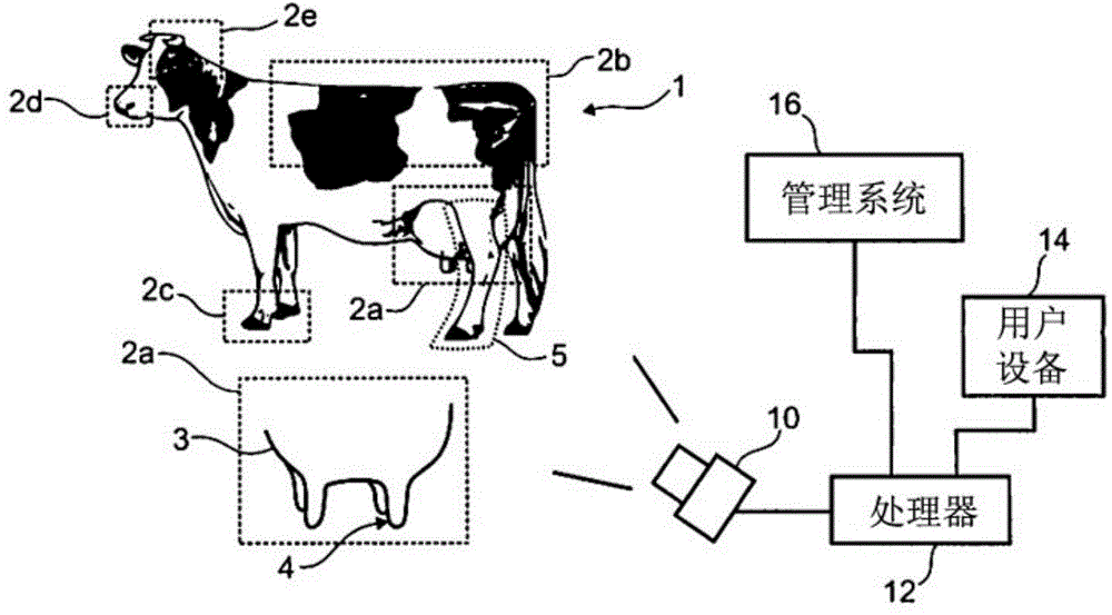 Systems and methods for predicting the outcome of a state of a subject