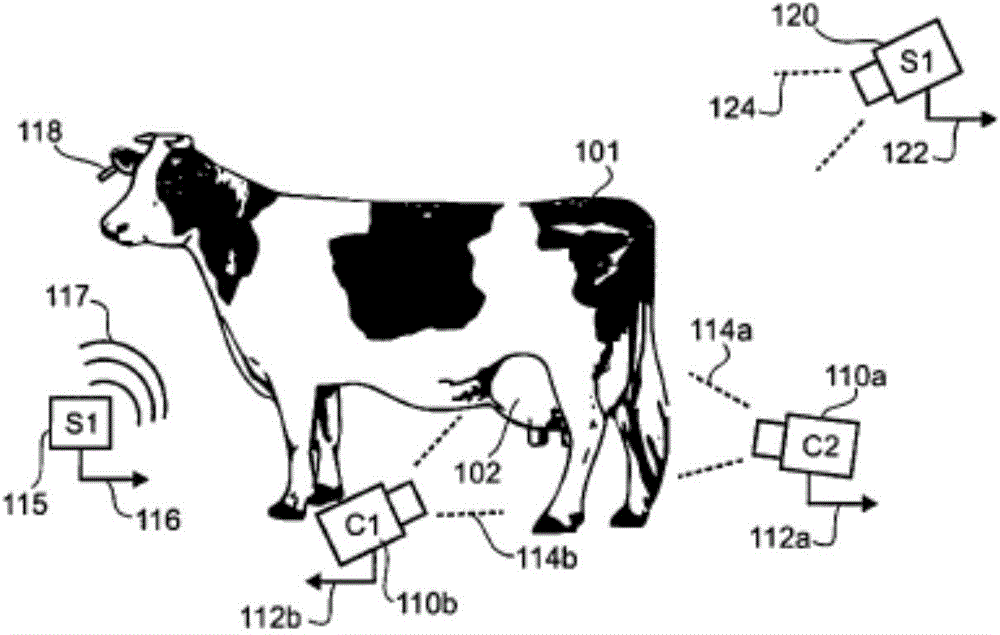 Systems and methods for predicting the outcome of a state of a subject