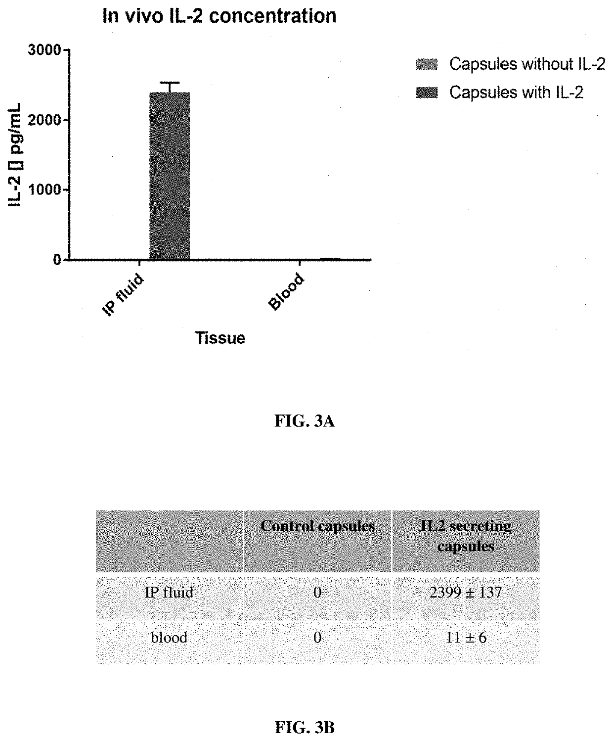 Implantable constructs and uses thereof