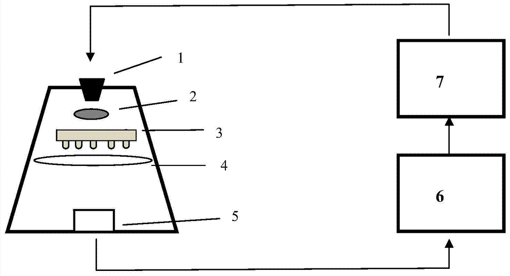 Self-adaptive hand back vein image collecting system