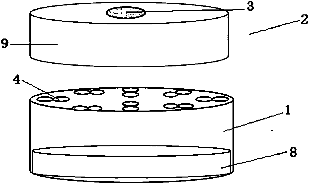 Device and method for monitoring and researching insect taxis behaviors