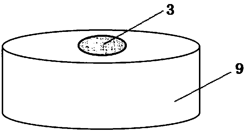 Device and method for monitoring and researching insect taxis behaviors