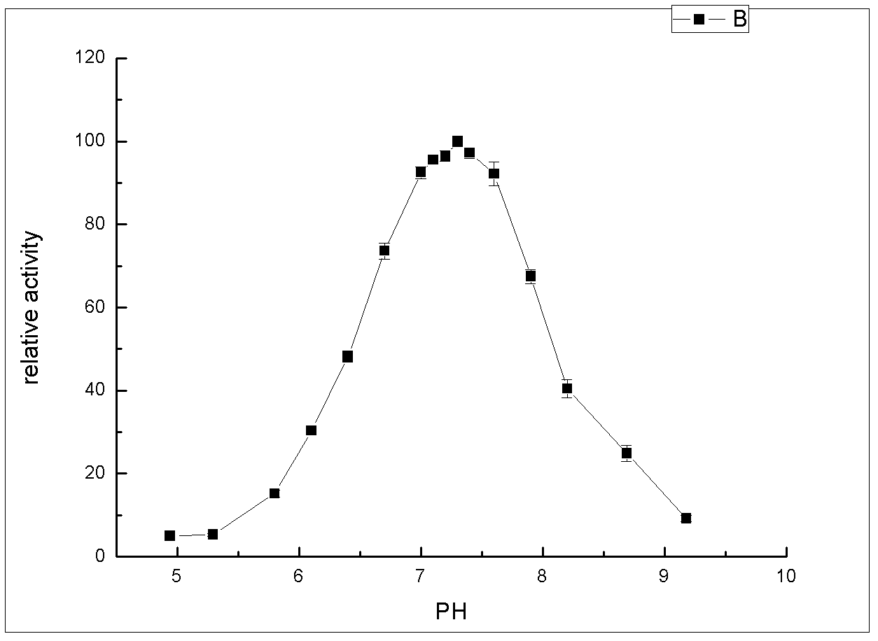 Beta-glucosidase, coding gene, vector, engineering bacteria and application thereof