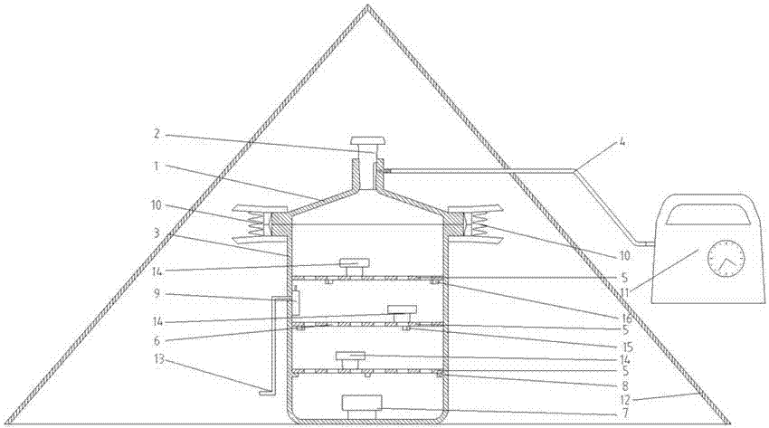 Soil microorganism fumigation apparatus and application thereof