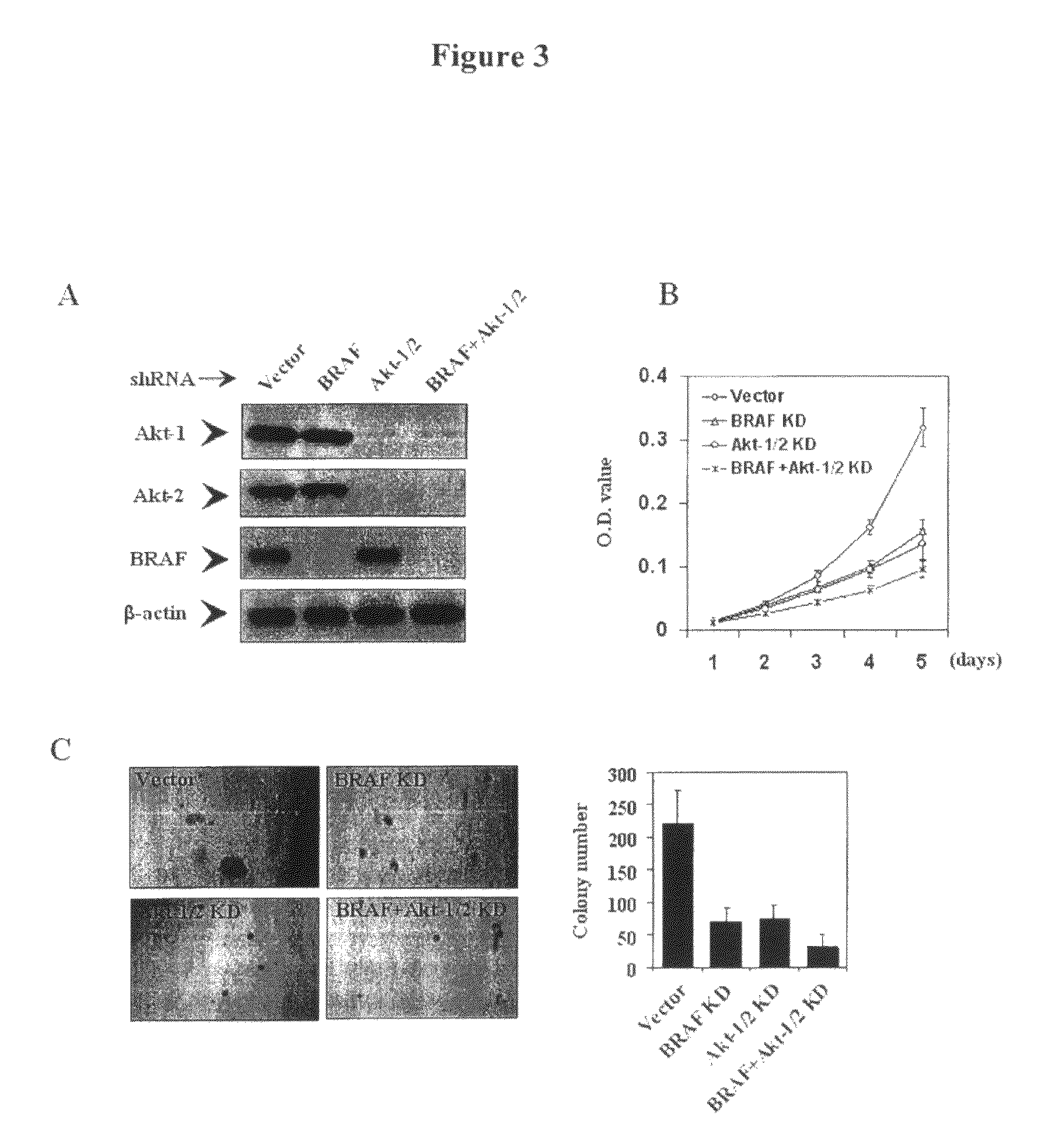 Induction of thyroid iodide-handling gene expression in human cancers