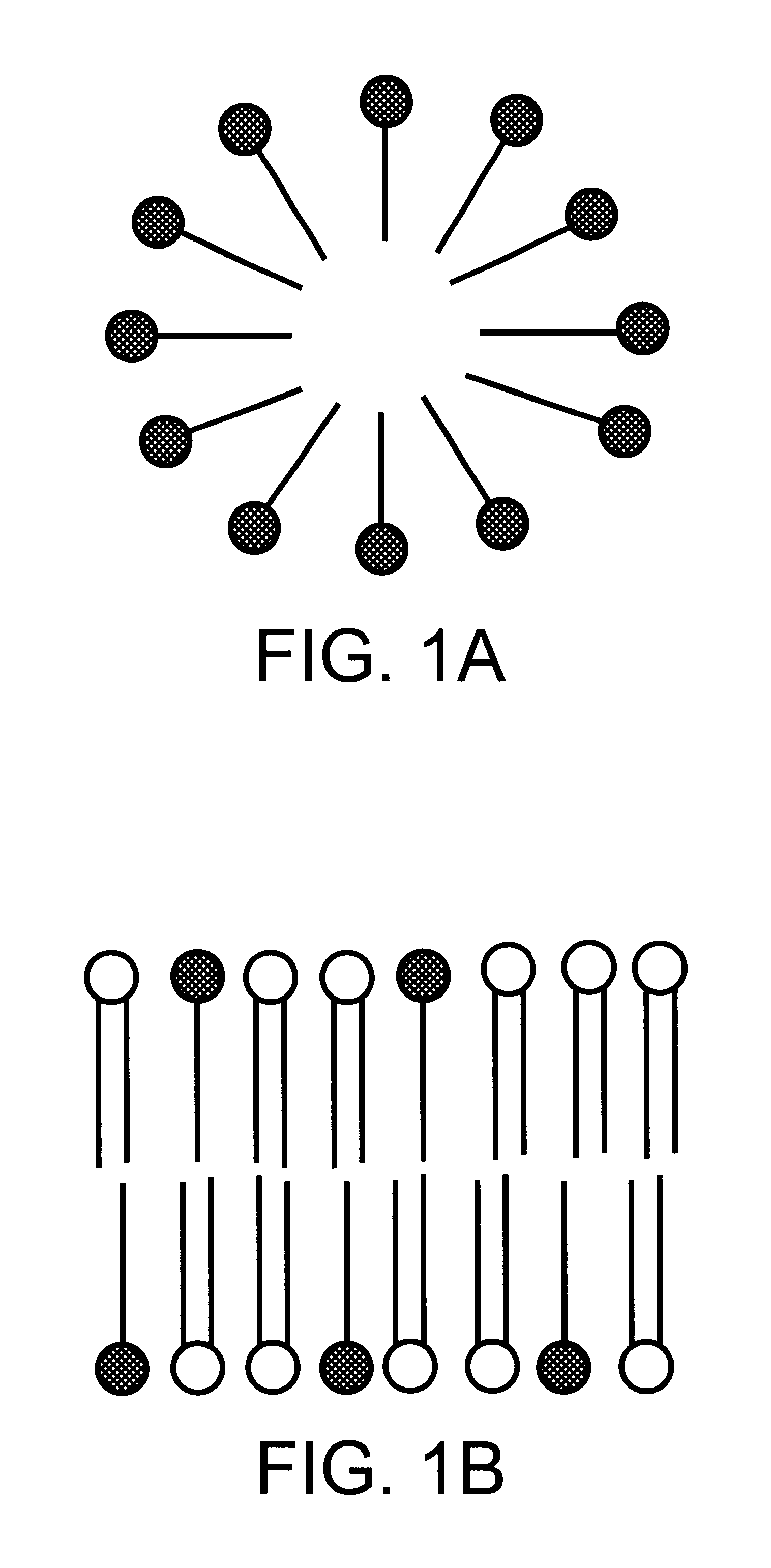 Preparation of pharmaceutical compositions