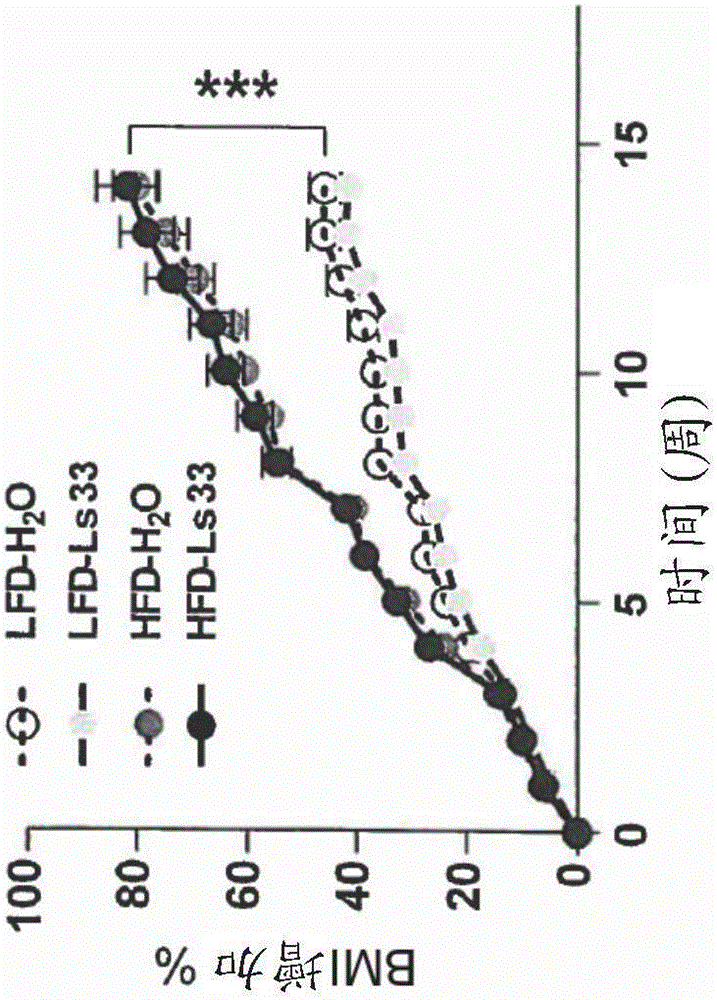 Use of compositions comprising bifidobacterium animalis ssp. lactis LMG P-28149