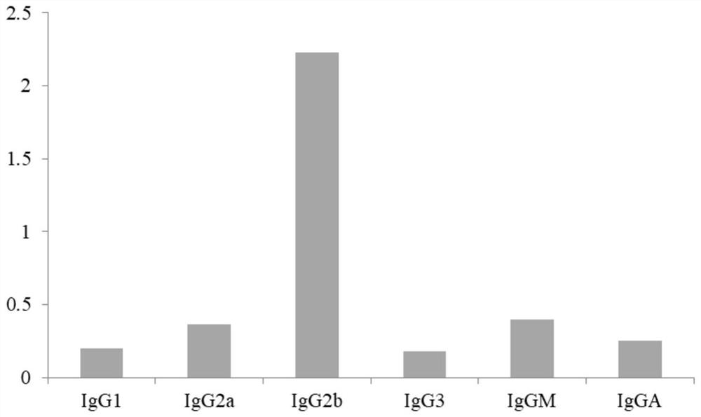 Anti-phenacetin monoclonal antibody hybridoma cell strain AD as well as preparation method and application thereof