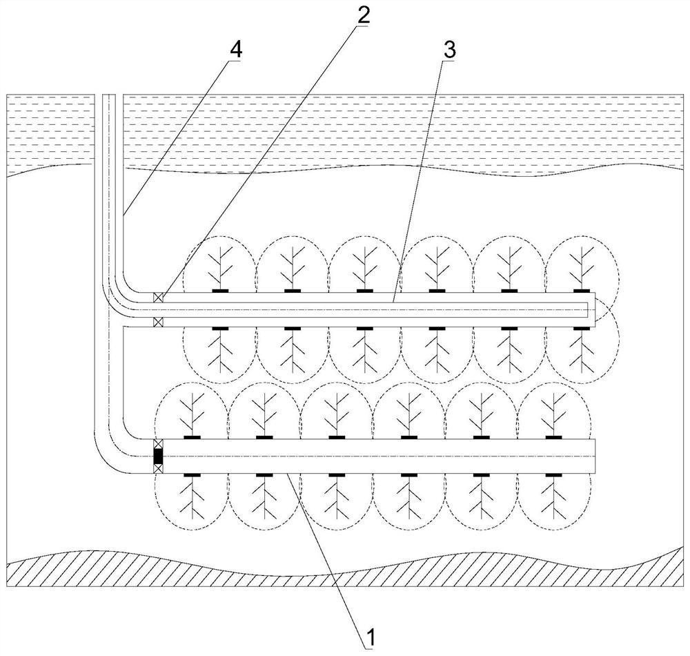 Multi-branch hydrate displacement mining method