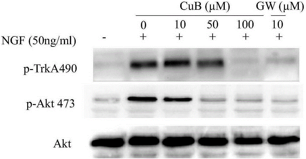 Application of cucurbitacine in preparing TrkA kinase inhibitor medicines