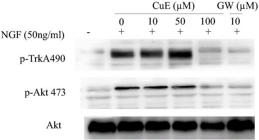 Application of cucurbitacine in preparing TrkA kinase inhibitor medicines