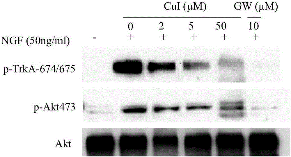 Application of cucurbitacine in preparing TrkA kinase inhibitor medicines