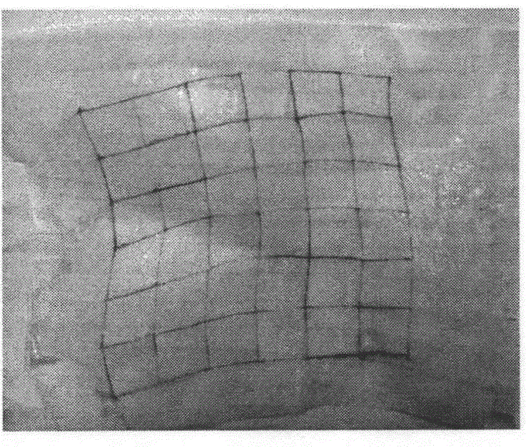 Method for obtaining skin deformation based on gel rubbing and graph pixel technology