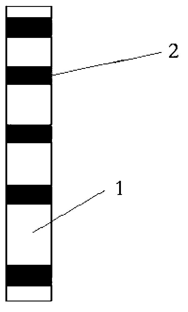 Linear sticking reinforcing process for PET (Polyethylene Terephthalate) film of flexible circuit board